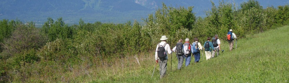 Above Bruce cabin, June 2010