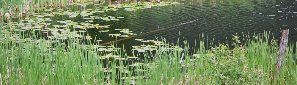 Bulkley Valley Naturalists