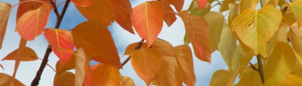 Bulkley Valley Naturalists