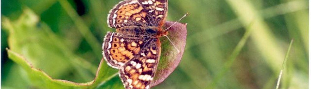 Bulkley Valley Naturalists